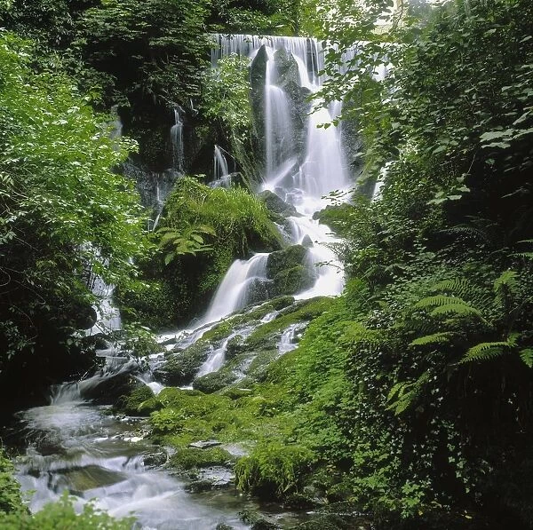 Crawfordsburn Country Park, Co Down, Ireland; Waterfall