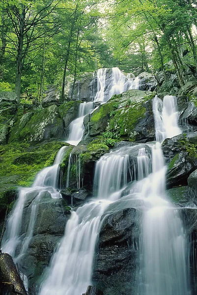 Dark Hollow Falls Shenandoah National Park Virginia, USA