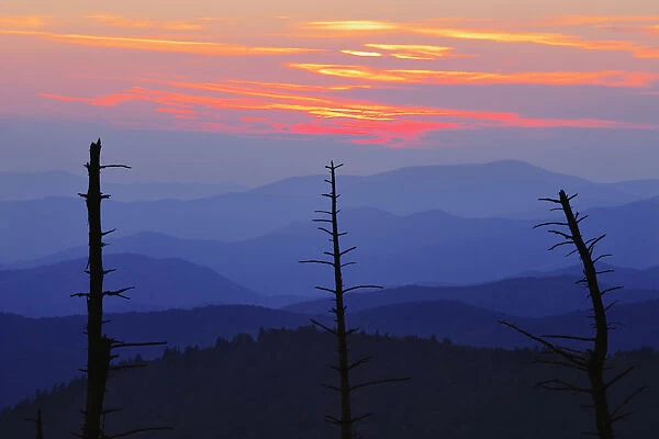 Dead Trees And Mountains At Dusk From Clingmans Dome, Great Smoky Mountains National Park, North Carolina