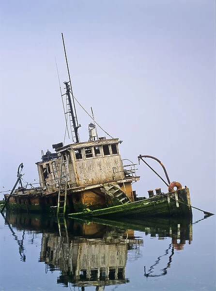 A Derelict Boat Decays At Gold Beach; Oregon, United States Of America