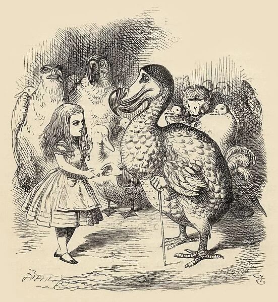 The Dodo Solemnly Presents Alice With A Thimble Illustration By John Tenniel From The Book Alicess Adventures In Wonderland By Lewis Carroll Published 1891