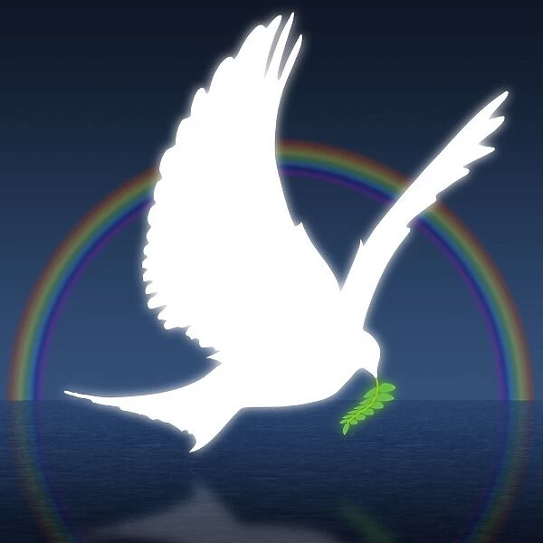 Dove Holding An Olive Branch With Rainbow In Background