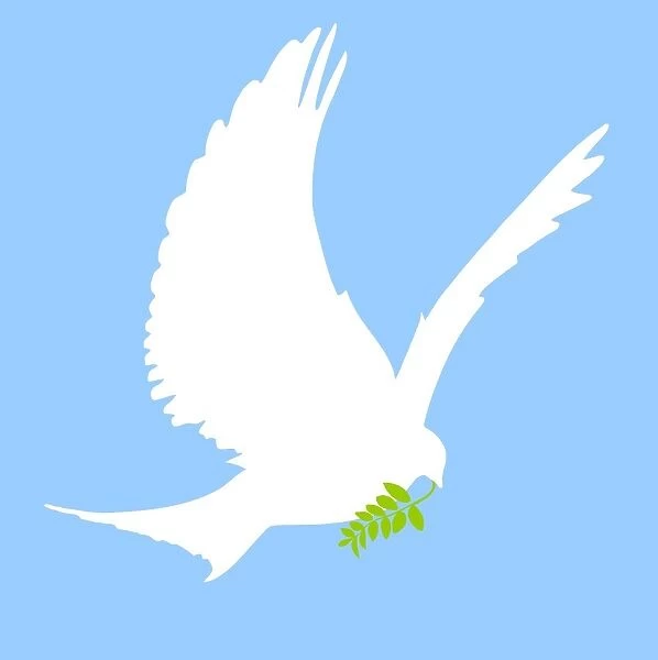 Dove And Olive Branch
