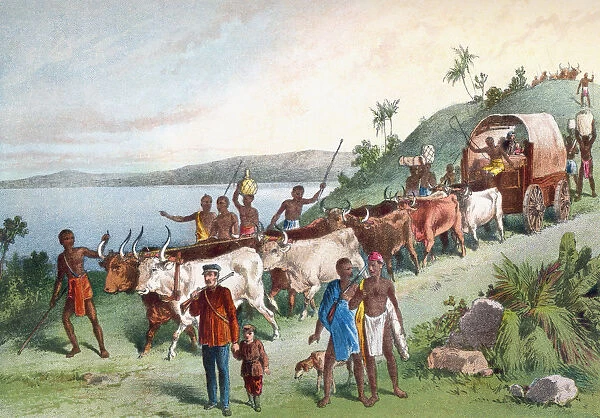 Dr. David Livingstones Arrival At Lake Ngami, Botswana, South Africa In 1849. David Livingstone, 1813