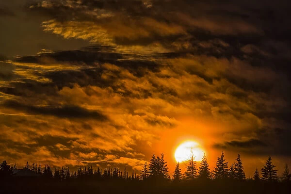 Dramatic sunset over the trees along the shore of Hudson Bay; Churchill, Manitoba, Canada