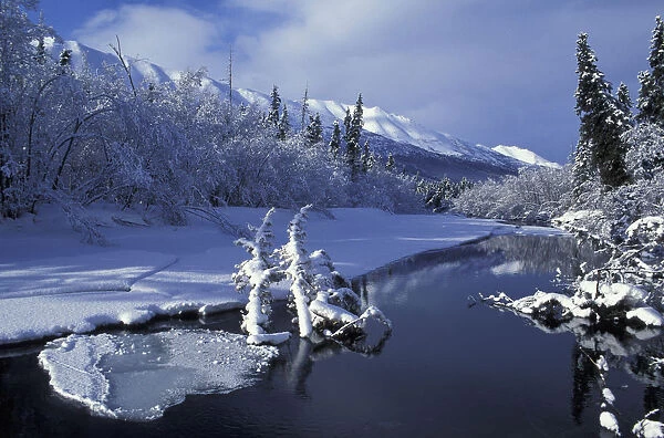 Eagle River In Chugach Sp Sc Alaska Early Winter