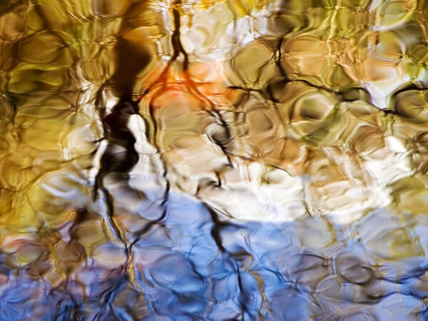 Elementals, Massachusetts, Seekonk, Caratunk Wildlife Refuge, Colorful Glassy Reflections On Water