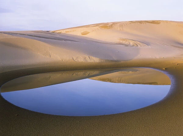 An Ephemeral Pond Mirrors The Umpqua Dunes, Oregon Dunes National Recreation Area; Lakeside, Oregon, United States Of America