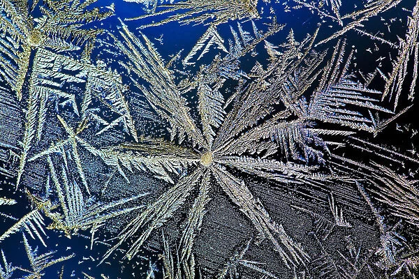 Extreme Close Up Of Frost Crystal With Colourful Lighting; Calgary, Alberta, Canada