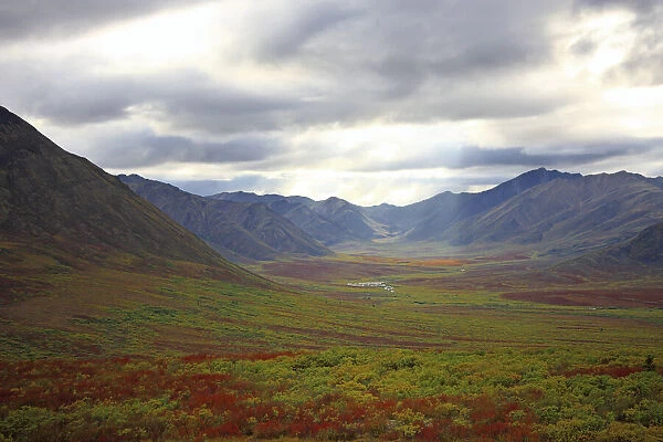 Fall Colours Along The Dempster Highway, Yukon