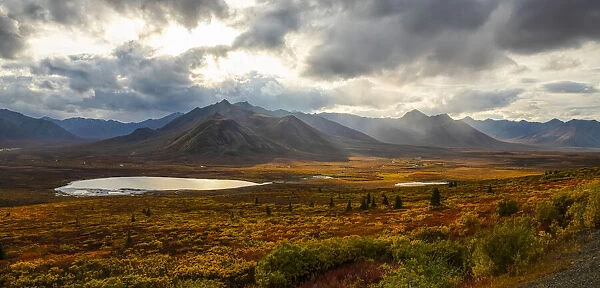 Fall colours ignite the landscape of the Dempster Highway with vibrant colours; Yukon, Canada