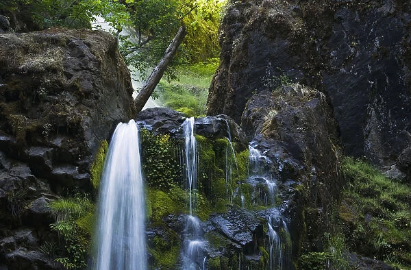 Fall Creek Falls, Near Jobs Garden; Glide, Oregon, United States Of America