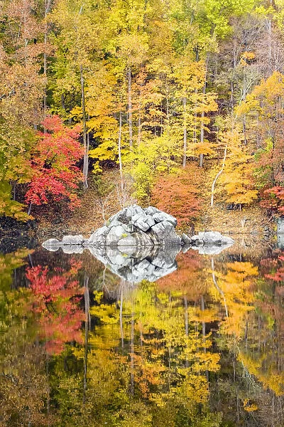 Fall foliage along the C&O Canal, Chesapeake and Ohio Canal National Historical Park, Maryland, USA