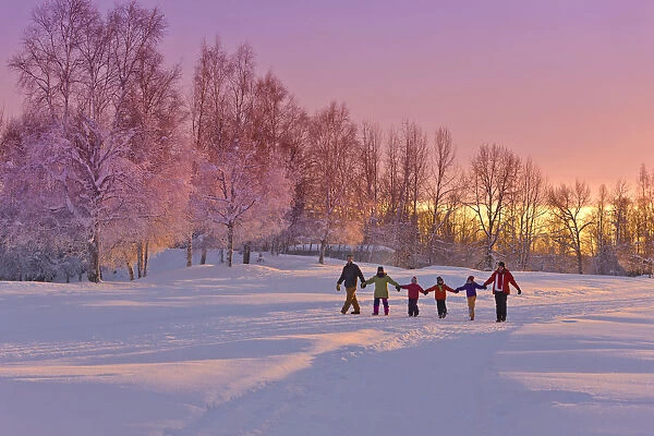 Family Group, Holding Hands, Walk On A Snow Path At Sunset With A Birch Forest In The Background, Russian Jack Springs Park, Anchorage, Southcentral Alaska, Winter