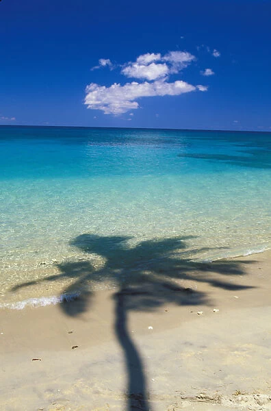 Fiji, Kadavu Islands, Shadow Of Palm Tree Onto Calm Beach Reef In Distance
