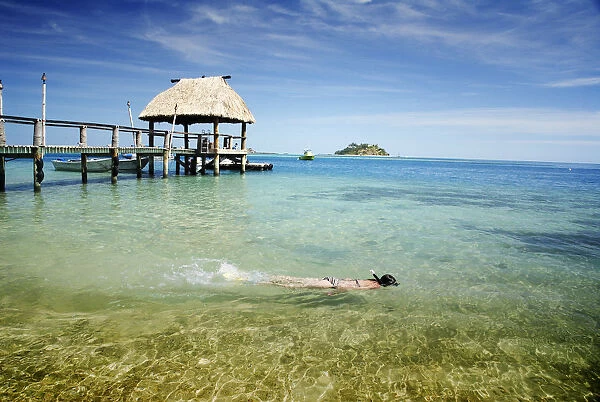 Fiji, Mamanuca Islands, Wadigi Island in distance; Malolo Island, Snorkeler in clear ocean besides pier with fijian style thatched bure roof