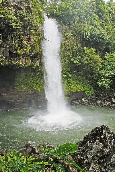 Fiji, Taveuni, Tavoro Waterfall cascading into tropical pool; Bouma National Heritage Park
