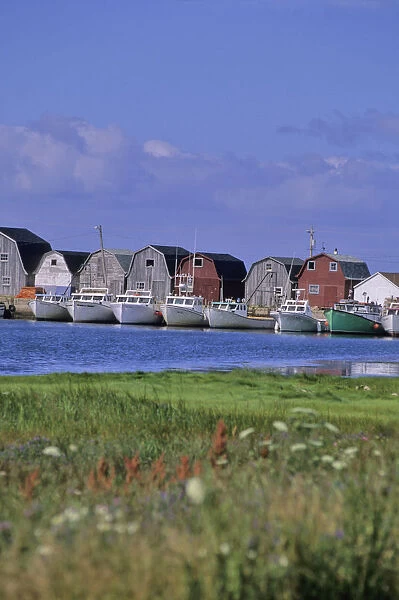 Fishing Shacks Line The Bay At Malpeque Harbour, Pei
