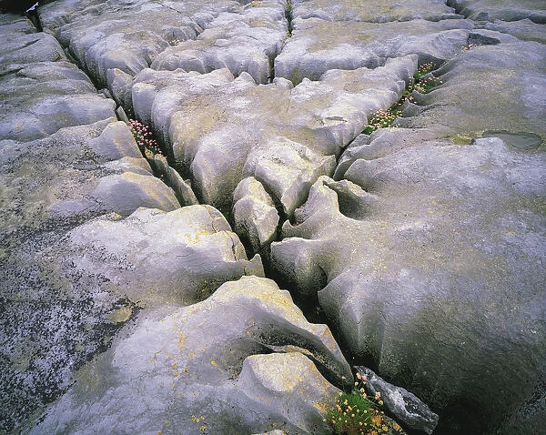 Fissures, The Burren, Co Clare, Ireland