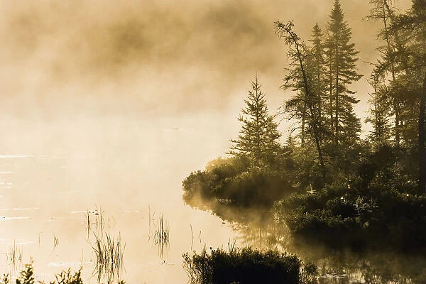 Fog Over Lac Roland At Sunrise, Reserve Faunique La Verendrye, Outaouais Region, Quebec