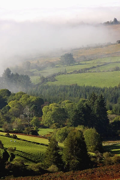 Fog Rolling Into Nire Valley; Clonmel, County Tipperary, Ireland