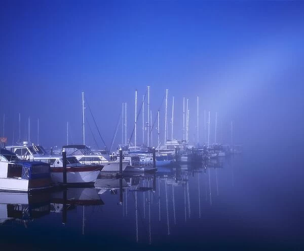 Foggy Morning At A Marina