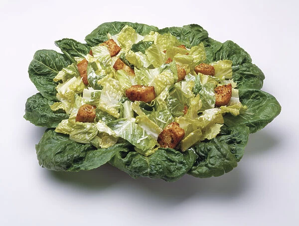 Food - Caesar salad prepared with Romaine lettuce, dressing, parmesan cheese and croutons, studio