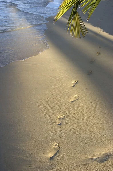 Footprints In Sand At Waters Edge, Soft Warm Golden Light