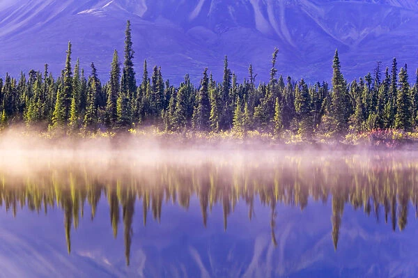 Forest Reflects In Drashner Lake W  /  Mist Along Shoreline Ak Range In Background Southcentral Alaska Autumn