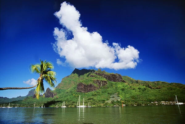 French Polynesia, Moorea, Scenic View Of Island And Puffy Cloud From Ocean