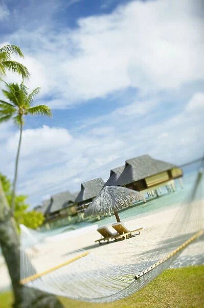 French Polynesia, Tahiti, Bora Bora, Hammock In Foreground Of Lounge Chairs And Thatch Umbrella On Beach With Tranquil Ocean And Bungalows