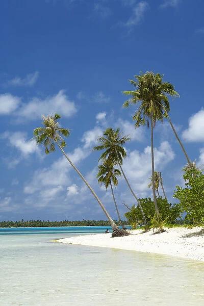 French Polynesia, Tahiti, Lagoon Beach With Palms Trees and Blue Sky; Maupiti