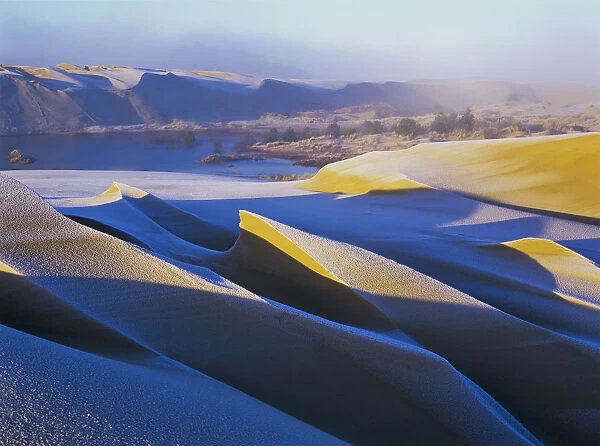 Frost And Sunlight Decorate The Sand Dunes; Lakeside, Oregon, United States Of America