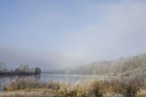 Frost On The Tall Grass Along The Shore Of A Lake; Thunder Bay, Ontario, Canada