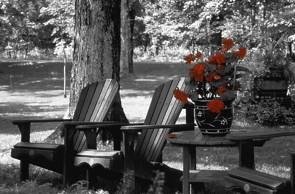 Garden Chairs With Red Flowers In A Pot