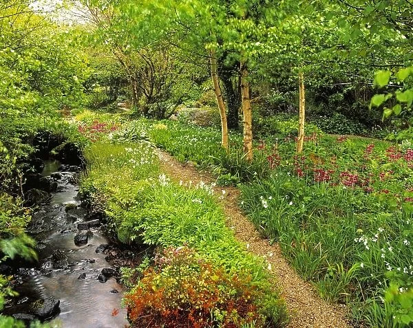 Garden; Creek Through A Garden