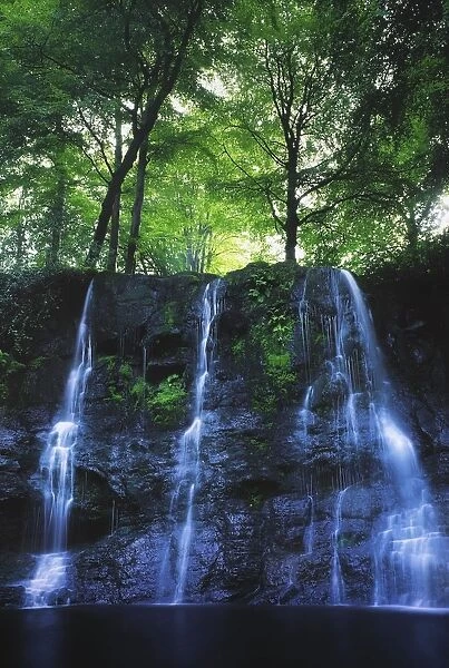 Glenariff Waterfall, Co Antrim, Ireland; Waterfall With Trees Above