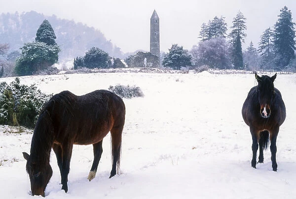 Glendalough, Co Wicklow, Ireland; Horses With Saint Kevins Monastic Site In The Distance