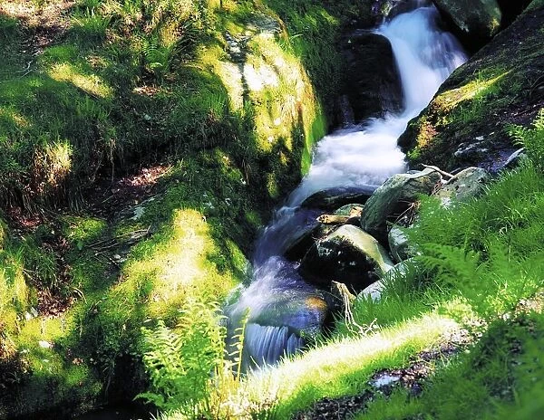 Glendalough, Co Wicklow, Ireland; Waterfall