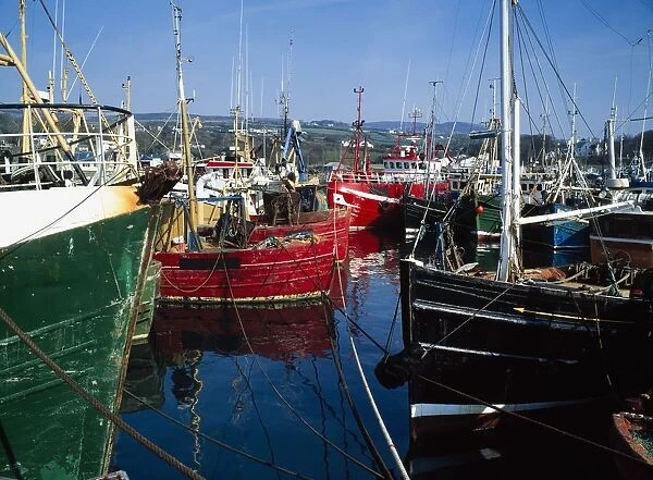 Greencastle, Lough Foyle, Co Donegal, Ireland; Boats At A Commercial Fishing Port