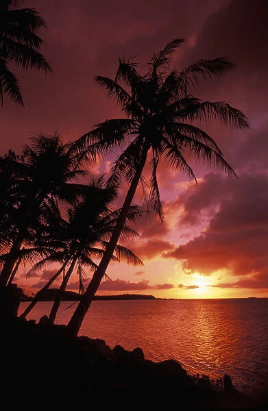 Guam, Tumon Bay, Bright Red Sunset And Silhouetted Palms On Beach