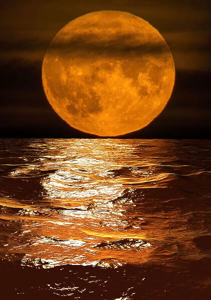 Harvest moon reflected in water