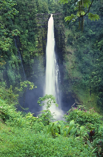 Hawaii, Big Island, Akaka Falls, Lush Greenery In Foreground