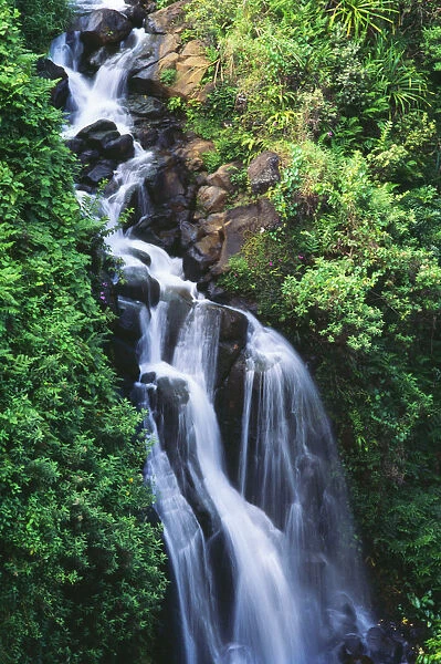 Hawaii, Big Island, Hamakua Coast, Waterfall Running Through Crevice Of Mountain