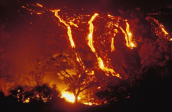 Hawaii, Big Island, Hawaii Volcanoes National Park, Lava Flows Into Forest Burning Trees