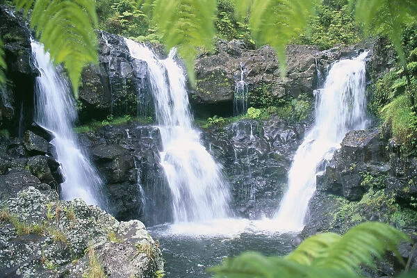 Hawaii, Big Island, Rainforest Waterfalls, Three Waterfalls Feeds Into One Pool