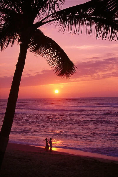 Hawaii, Couple Silhouetted On The Beach At Sunset With Tall Palm Foreground, A05G