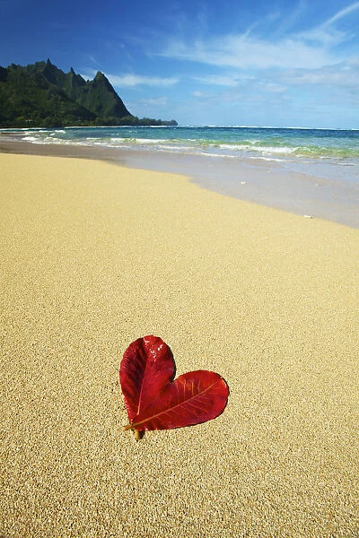 Hawaii, Kauai, Haena Beach Tunnels Beach, Two Red False Kamani Tree Leaves In The Shape Of A Heart On The Beach