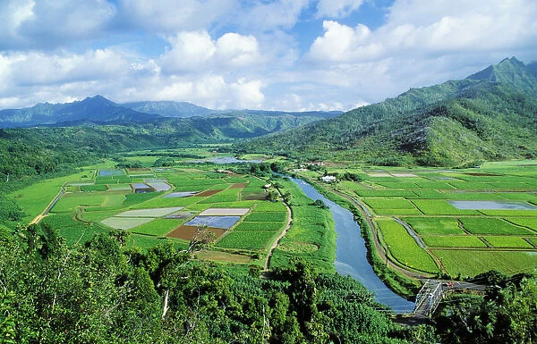 Hawaii, Kauai, Hanalei Valley Taro Fields And Wildlife Refuge