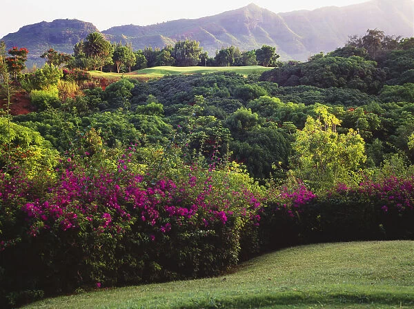 Hawaii, Kauai, Lihue, Kauai Lagoons Golf Course, Kiele Course, Flowers And Vegetation Line The Green